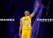 开云体育直播-西决生死战之夜，字母哥如何用攻防转换主宰比赛