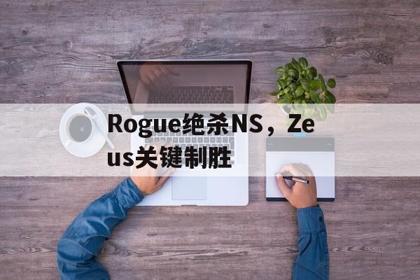 包含Rogue绝杀NS，Zeus关键制胜的词条