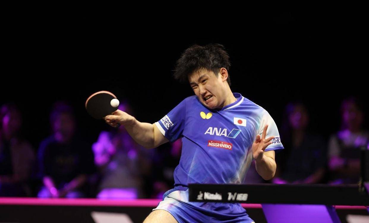 中国乒乓球队横扫瑞典乒乓球队，张本智和打破历史纪录的简单介绍