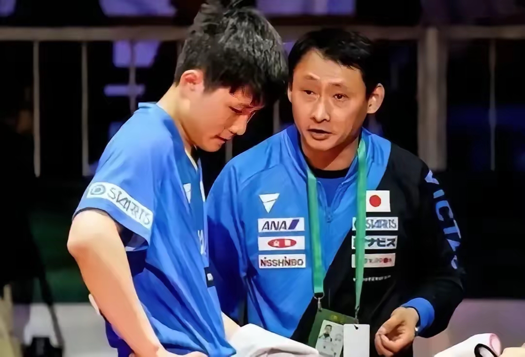 德国乒乓球队绝杀法国乒乓球队，张本智和爆发神勇的简单介绍