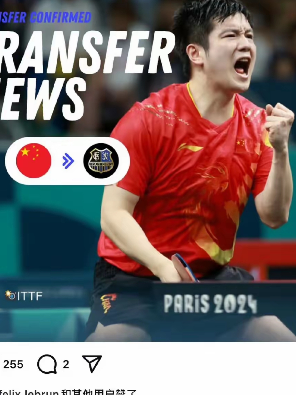 中国乒乓球队轻取德国乒乓球队，樊振东打破历史纪录的简单介绍