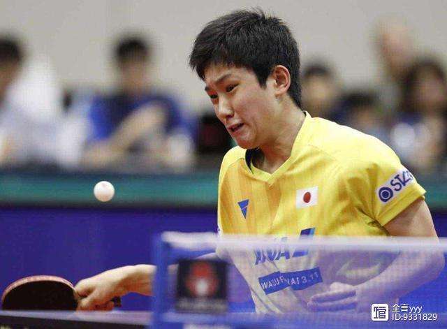 瑞典队逆转波兰队，马龙带队取胜