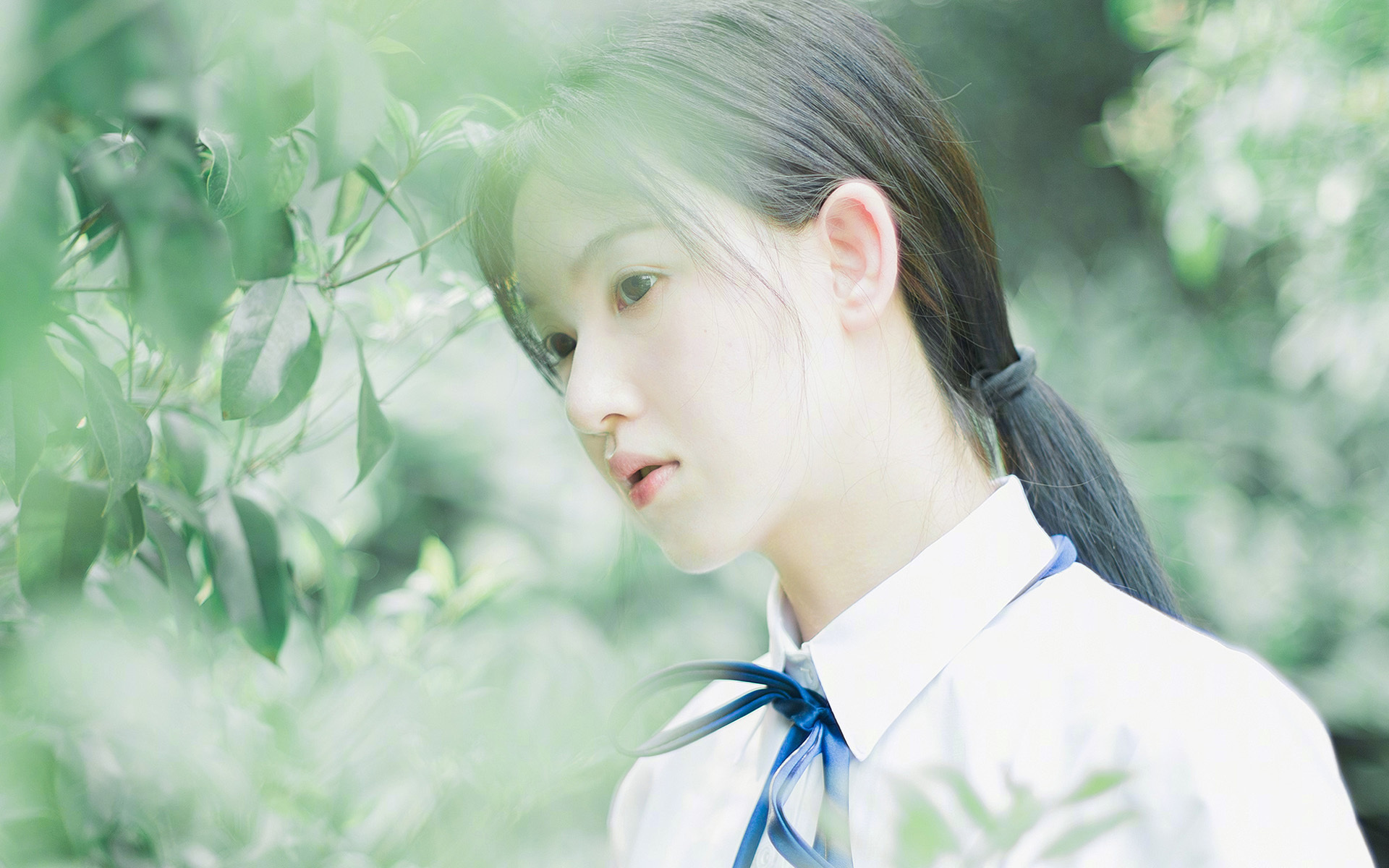 灰熊铁蹄踏碎深圳防线,塔图姆全能表演诠释现代篮球美学